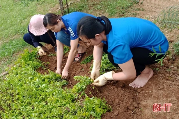 Đoàn viên thanh niên Nghi Xuân sôi nổi hoạt động“Tháng thanh niên năm 2020”