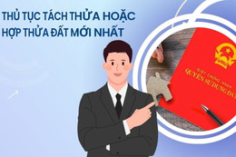 [Motion Graphics]: Thủ tục tách thửa hoặc hợp thửa đất mới nhất