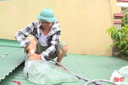 Người dân Hà Tĩnh chằng chống nhà cửa trước bão số 5
