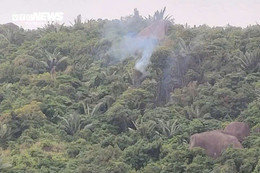 Máy bay quân sự rơi trên vùng núi, phi công nhảy dù an toàn