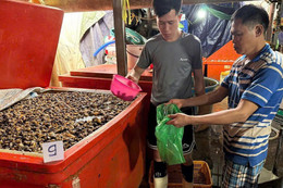 Triệt phá đường dây ngâm thịt ốc bằng hóa chất quy mô đặc biệt lớn