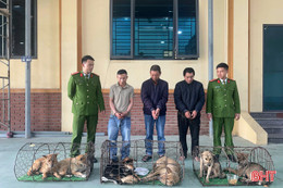 Bắt nhóm “cẩu tặc” trang bị súng điện, hung khí nguy hiểm