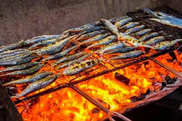 Cá trích nướng Đan Hải - ẩm thực đậm tình quê