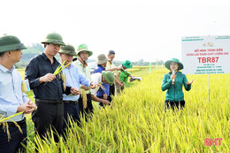 Sắp xếp, tinh giản hơn 35.000 cán bộ khuyến nông cả nước