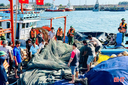 Hà Tĩnh bắt giữ 3 tàu cá đánh bắt hải sản sai quy định