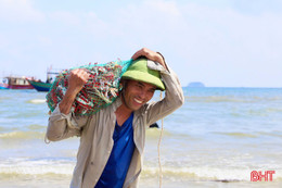 Ngư dân Hà Tĩnh trúng đậm ghẹ biển, mỗi chuyến thu cả chục triệu đồng