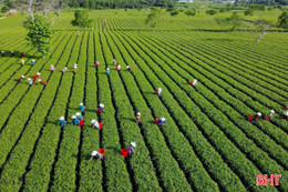 ADB mong muốn xây dựng mô hình du lịch "chữa lành" tại Hà Tĩnh