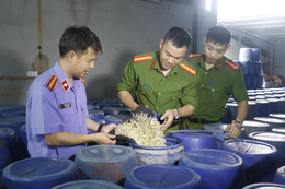 Mở đợt cao điểm ngăn chặn, đẩy lùi buôn lậu, gian lận thương mại từ 15/5 đến 15/6 
