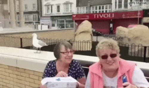 Hài hước với khoảnh khắc chị em bị động vật “tấn công” bất ngờ