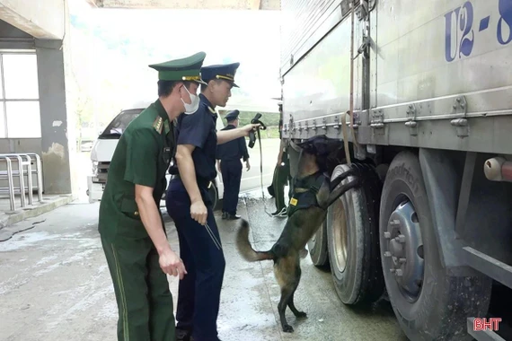 Lực lượng biên phòng đấu tranh 51 chuyên án, bắt giữ 5.690 vụ trong đợt ra quân cao điểm