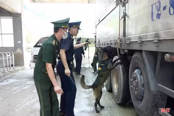 Lực lượng biên phòng đấu tranh 51 chuyên án, bắt giữ 5.690 vụ trong đợt ra quân cao điểm