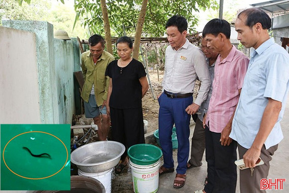 Người dân liên tiếp phát hiện đỉa từ nguồn nước sạch, nhà máy tạm dừng phục vụ