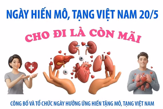 Ngày Hiến mô, tạng Việt Nam 20/5: Cho đi là còn mãi
