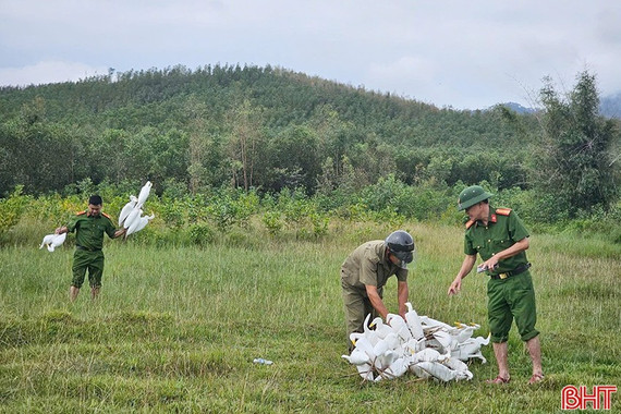 Tích cực tuyên truyền, đấu tranh, xử lý vi phạm về bảo vệ các loài động vật hoang dã, nguồn lợi thủy sản