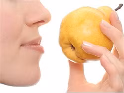 Ảnh minh họa. (Nguồn: giftsanddec.com)