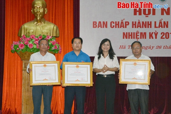 Thanh niên Hà Tĩnh tiếp tục xung kích, tình nguyện phát triển KT-XH ảnh 2