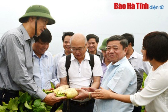 Phát triển sản xuất - Giá trị mới trong nông thôn mới ảnh 1