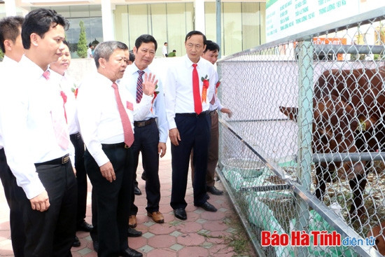 Đại hội Thi đua yêu nước Hà Tĩnh lần thứ VI vinh danh 100 tập thể, cá nhân điển hình tiên tiến ảnh 18