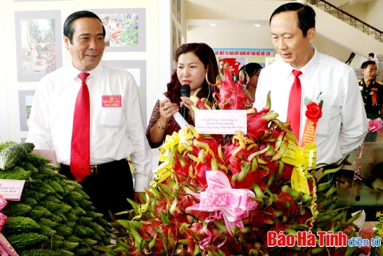 Đại hội Thi đua yêu nước Hà Tĩnh lần thứ VI vinh danh 100 tập thể, cá nhân điển hình tiên tiến ảnh 16