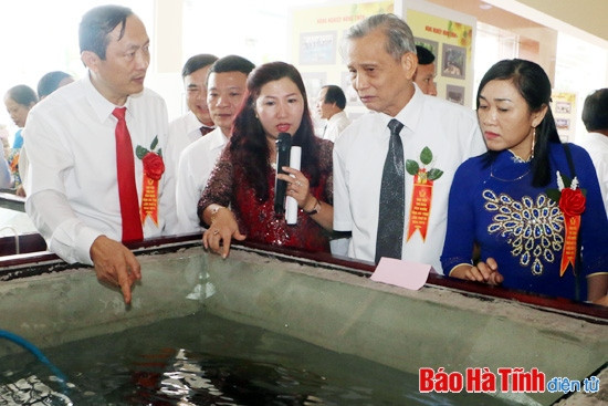 Đại hội Thi đua yêu nước Hà Tĩnh lần thứ VI vinh danh 100 tập thể, cá nhân điển hình tiên tiến ảnh 19