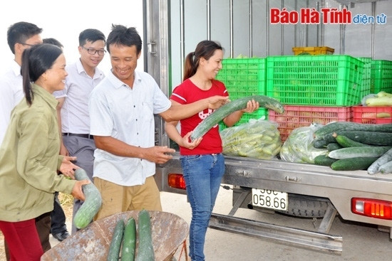 Nông dân thôn Bắc Bình, xã Tượng Sơn (Thạch Hà) phấn khởi khi sản phẩm bí xanh được bao tiêu mở rộng thị trường tiêu thụ. Ảnh: Thu Phương