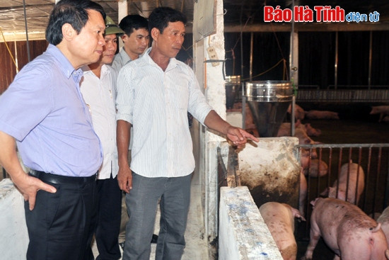 Hội Nông dân Việt Nam đánh giá cao tiềm năng nông nghiệp Hà Tĩnh ảnh 2