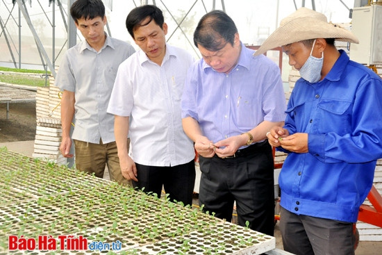 Hội Nông dân Việt Nam đánh giá cao tiềm năng nông nghiệp Hà Tĩnh ảnh 1