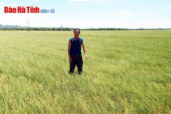 Sơn Lễ: Hết hè vẫn... "khát"! ảnh 7 Sơn Lễ: Hết hè vẫn... "khát"! ảnh 7