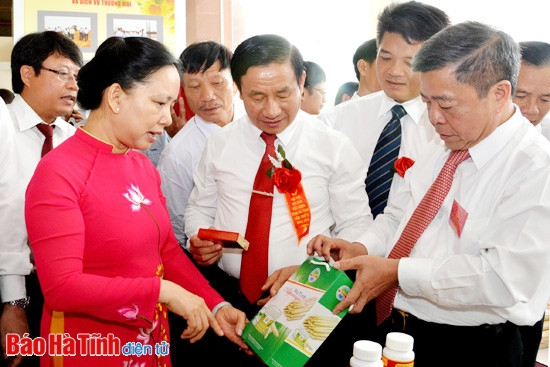 Đại hội Thi đua yêu nước Hà Tĩnh lần thứ VI vinh danh 100 tập thể, cá nhân điển hình tiên tiến ảnh 7