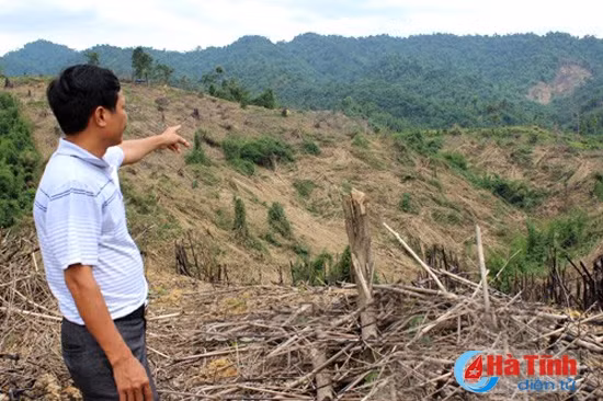 Nguyên nhân suy thoái và rào cản trong phát triển rừng ảnh 2