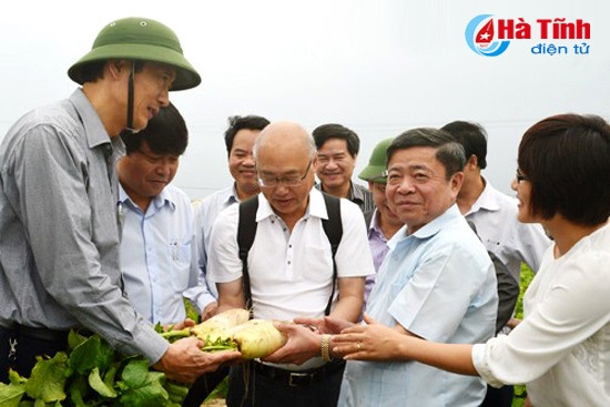 Khi doanh nghiệp là "bà đỡ" cho nền nông nghiệp Hà Tĩnh ảnh 1