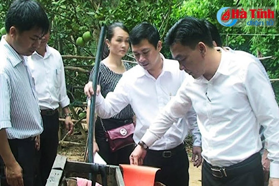 Xuất hiện thêm ổ dịch sốt xuất huyết Dengue tại Kỳ Lợi ảnh 1