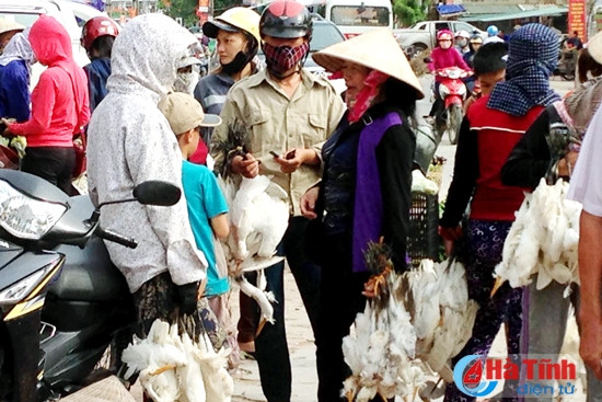 "Tận diệt" chim trời ảnh 1