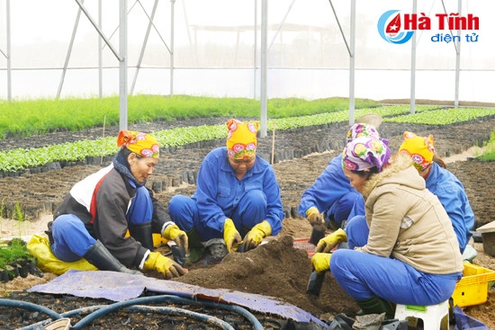 Khi doanh nghiệp là "bà đỡ" cho nền nông nghiệp Hà Tĩnh ảnh 2