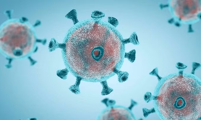 Hành trình phức tạp của nCoV trong cơ thể người