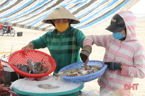 Giá xăng dầu giảm sâu, ngư dân Hà Tĩnh phấn khởi vươn khơi