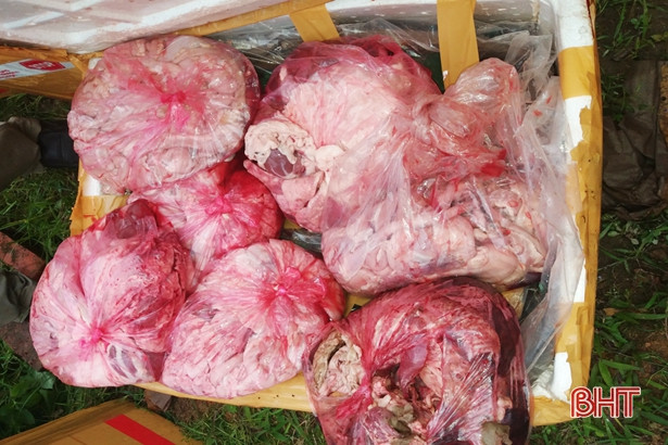 Bắt giữ xe giường nằm chở 2,4 tấn thực phẩm “bẩn” qua Hà Tĩnh