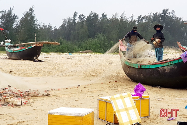 Trúng cá trích, ngư dân Thạch Hà “sống ổn” giữa mùa dịch