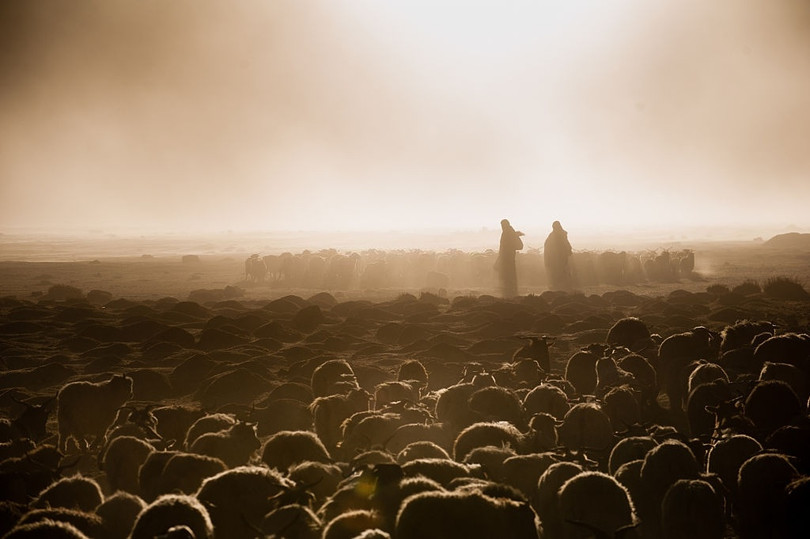 Cuộc sống của người dân ở “nóc nhà thế giới”