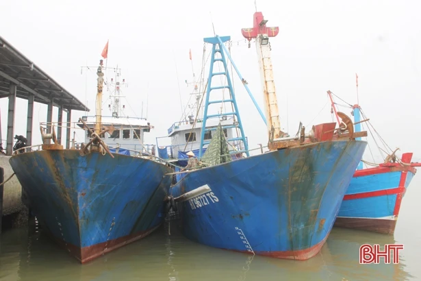 Giá xăng dầu giảm sâu, ngư dân Hà Tĩnh phấn khởi vươn khơi