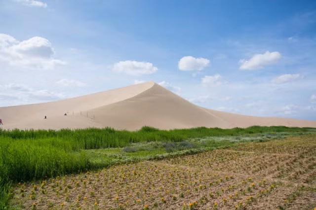 Bên trong ốc đảo 2.000 năm tuổi giữa sa mạc ở Trung Quốc