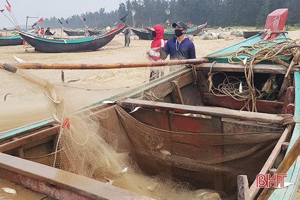 Trúng cá trích, ngư dân Thạch Hà “sống ổn” giữa mùa dịch