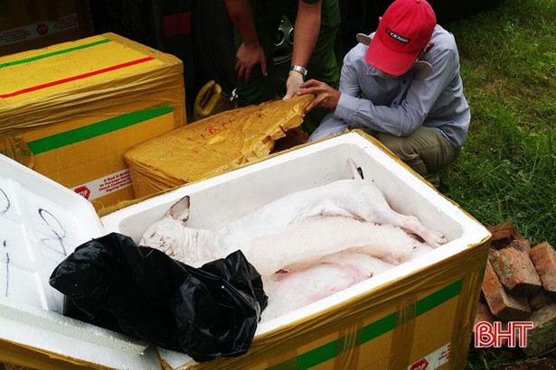 Bắt giữ xe giường nằm chở 2,4 tấn thực phẩm “bẩn” qua Hà Tĩnh