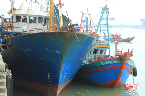 Biên phòng Hà Tĩnh bắt giữ 2 tàu giã cào Nghệ An khai thác trái quy định