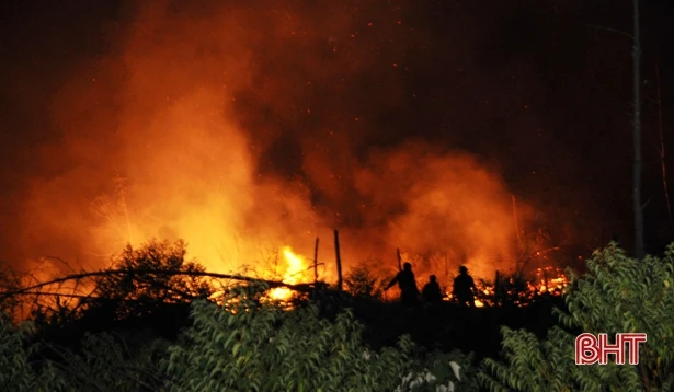 Trắng đêm dập lửa rừng ở Đức Thọ