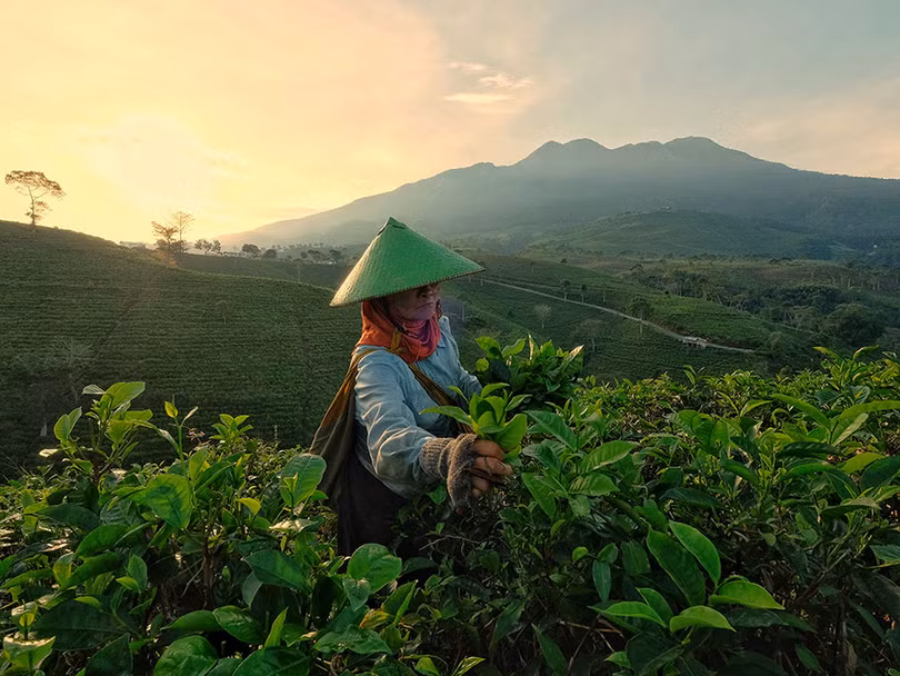 4 bức ảnh Việt Nam trong top 50 ảnh đẹp chụp người lao động thế giới