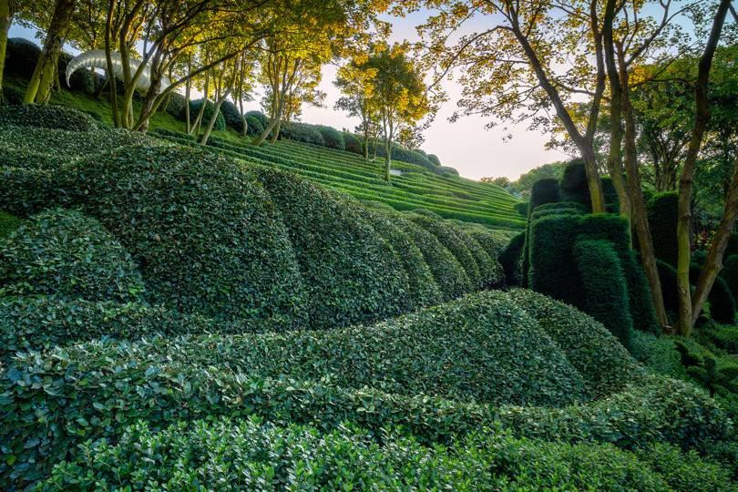 Khu vườn kỳ dị hút khách nhờ những viên đá mặt người khổng lồ