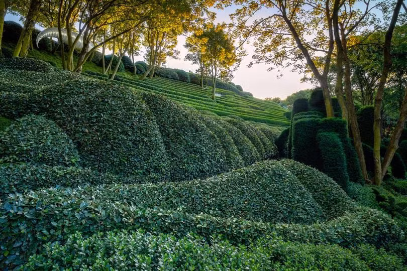 Khu vườn kỳ dị hút khách nhờ những viên đá mặt người khổng lồ