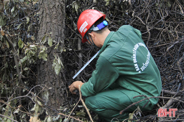 Hà Tĩnh xác định mức độ thiệt hại của vụ cháy rừng lớn nhất từ trước đến nay