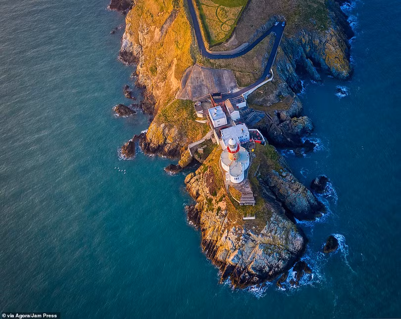 Tay máy Việt Nam đoạt giải cao nhất cuộc thi ảnh quốc tế AGORA Images Beauty 2019